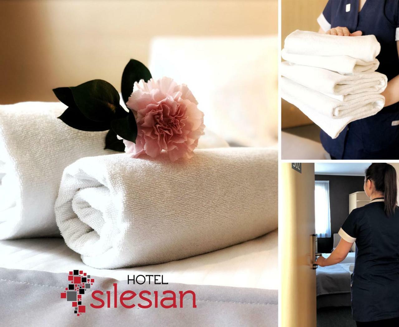 Economy Silesian Hotel Katowice Luaran gambar